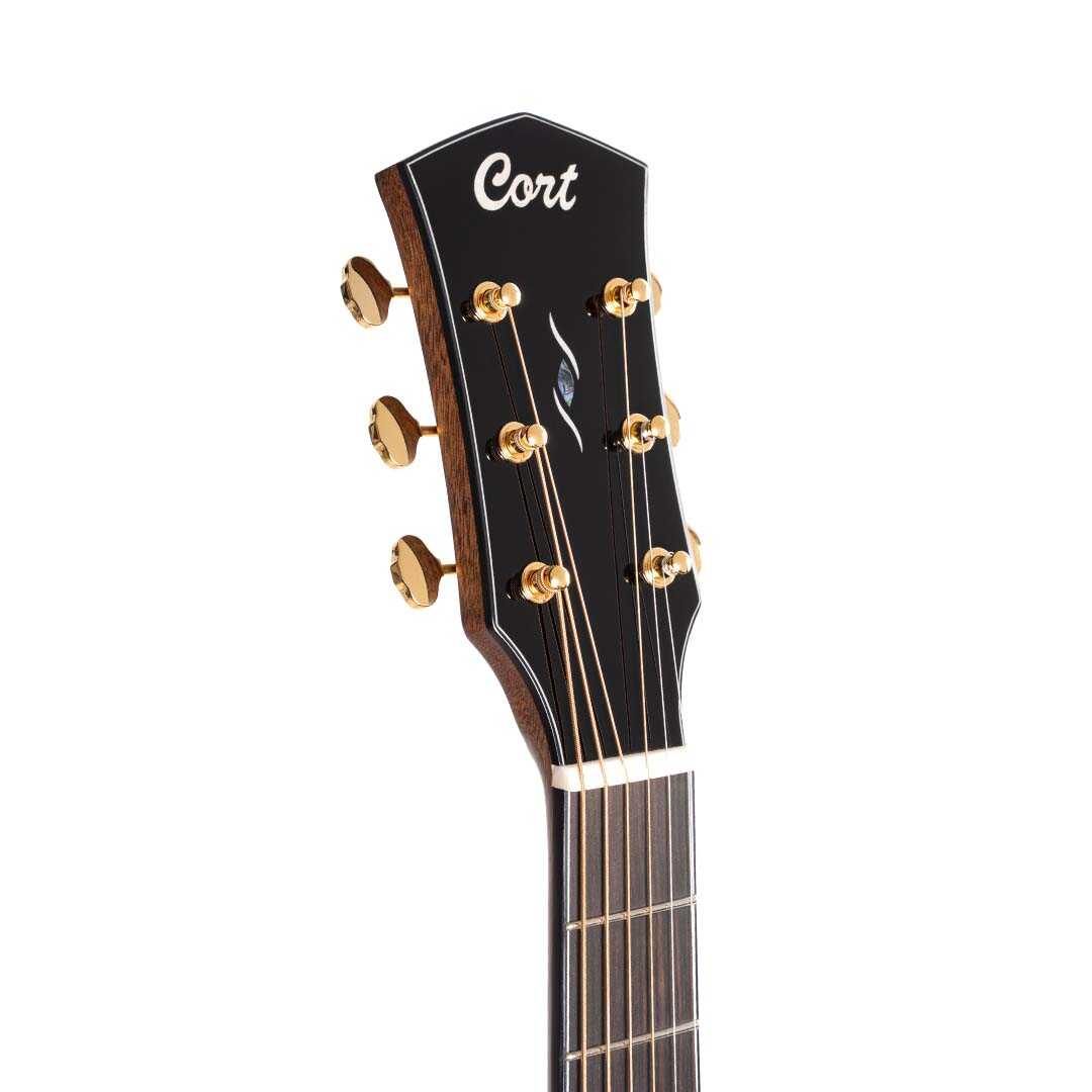 Cort Gold-A6 Bocote Acoustic Guitar